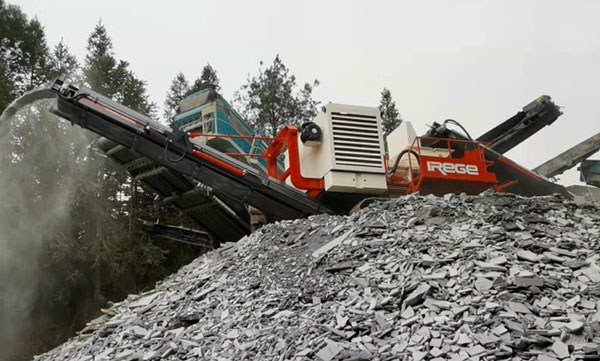 Mobile Sand Crusher Case